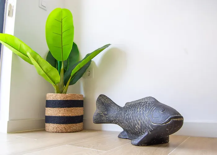 Alber Sunset By Holidays Fuerteventura Appartement