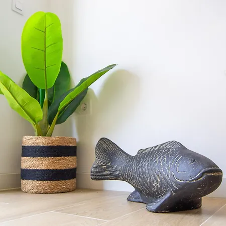 Alber Sunset By Holidays Fuerteventura Апартаменты